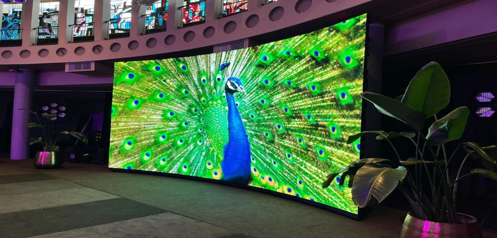 Curved LEd wall huren